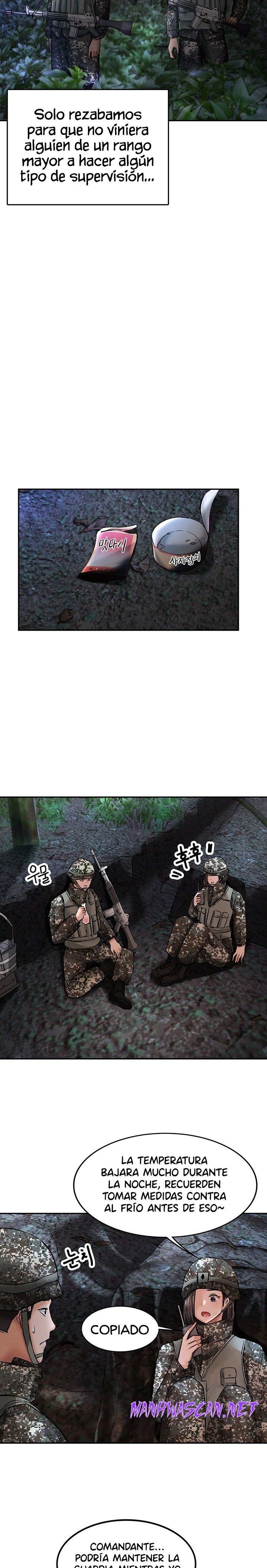 The Battalion Commander