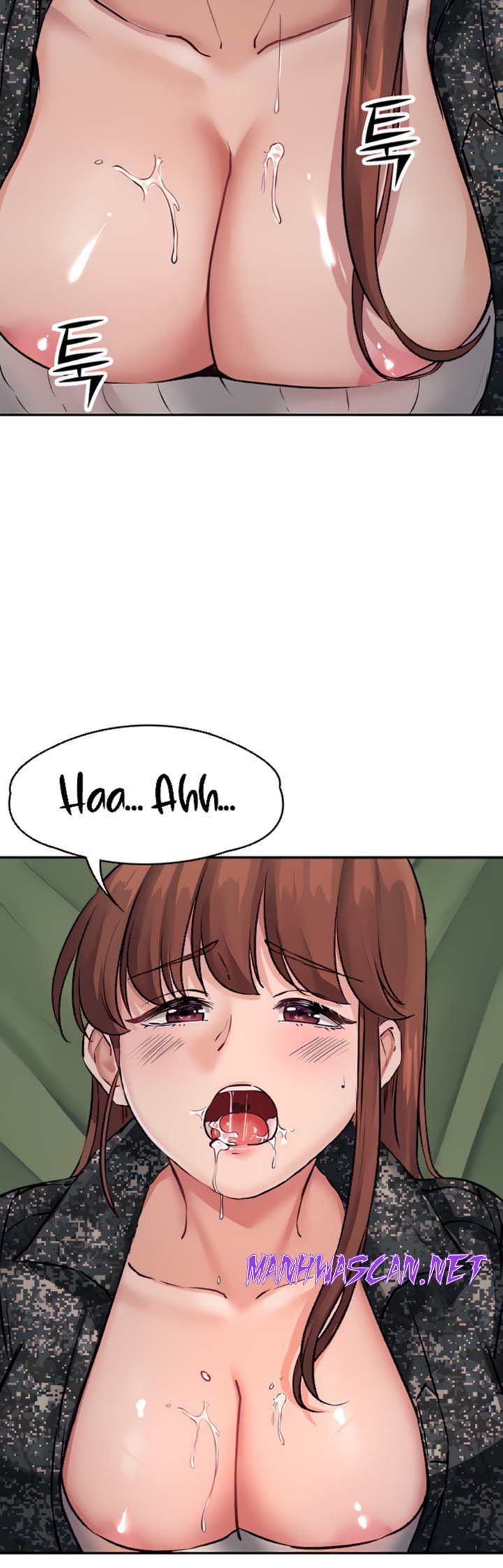 The Battalion Commander