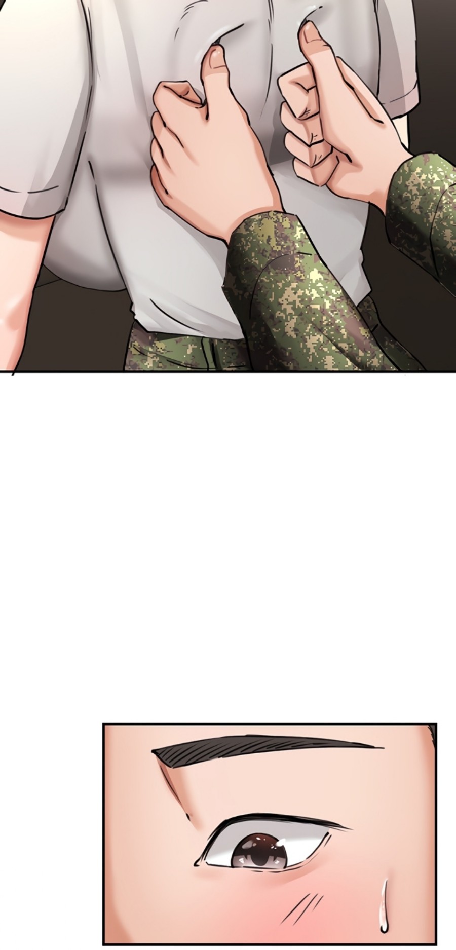 The Battalion Commander