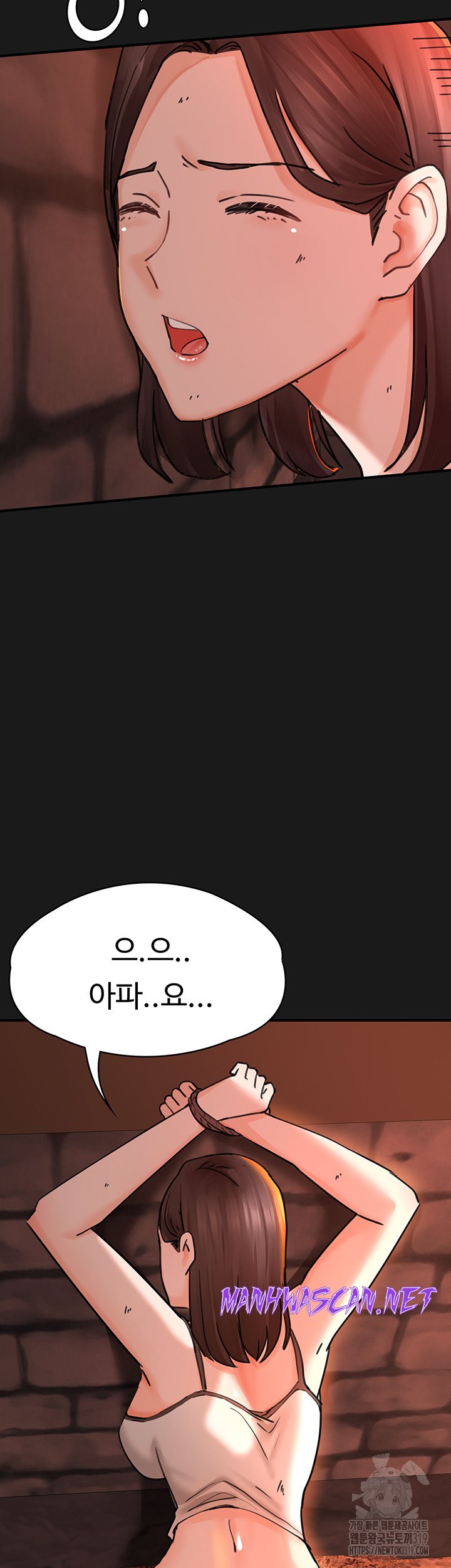 The Battalion Commander